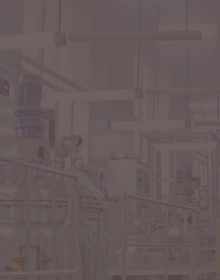 我們的優(yōu)勢